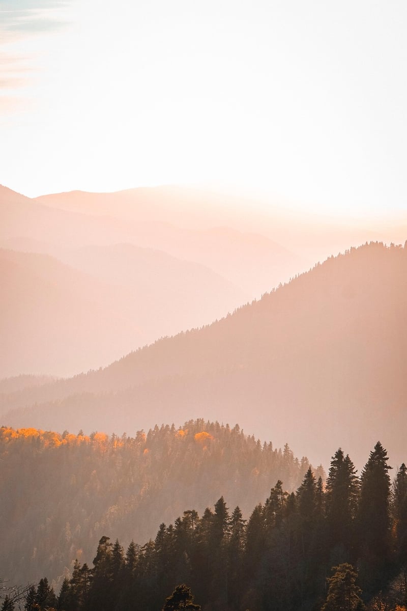 Mountain Views